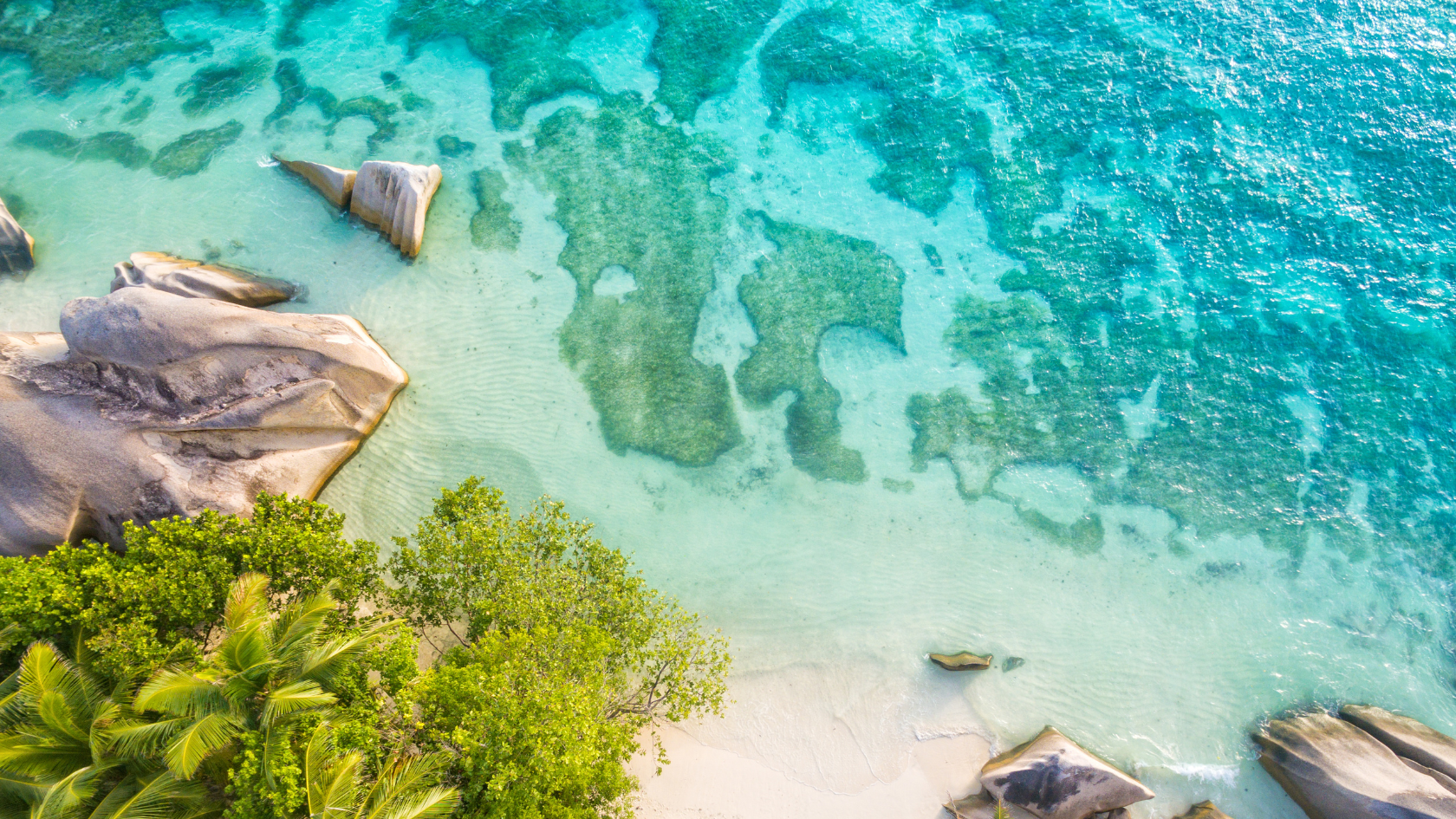 Aerial photo of ocean surface showing turquoise waters and plankton blooms